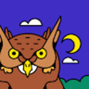 Meet your Posher, Allyssa hillner